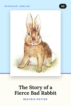 Capa de The Story of a Fierce Bad Rabbit